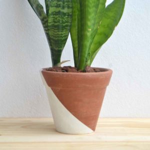 vaso de planta diagonal