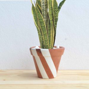 vaso de plantas listras diagonais