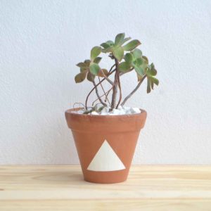 vaso de plantas triângulo